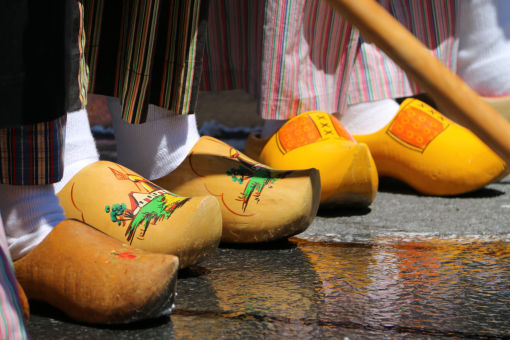 Albany Tulip Festival